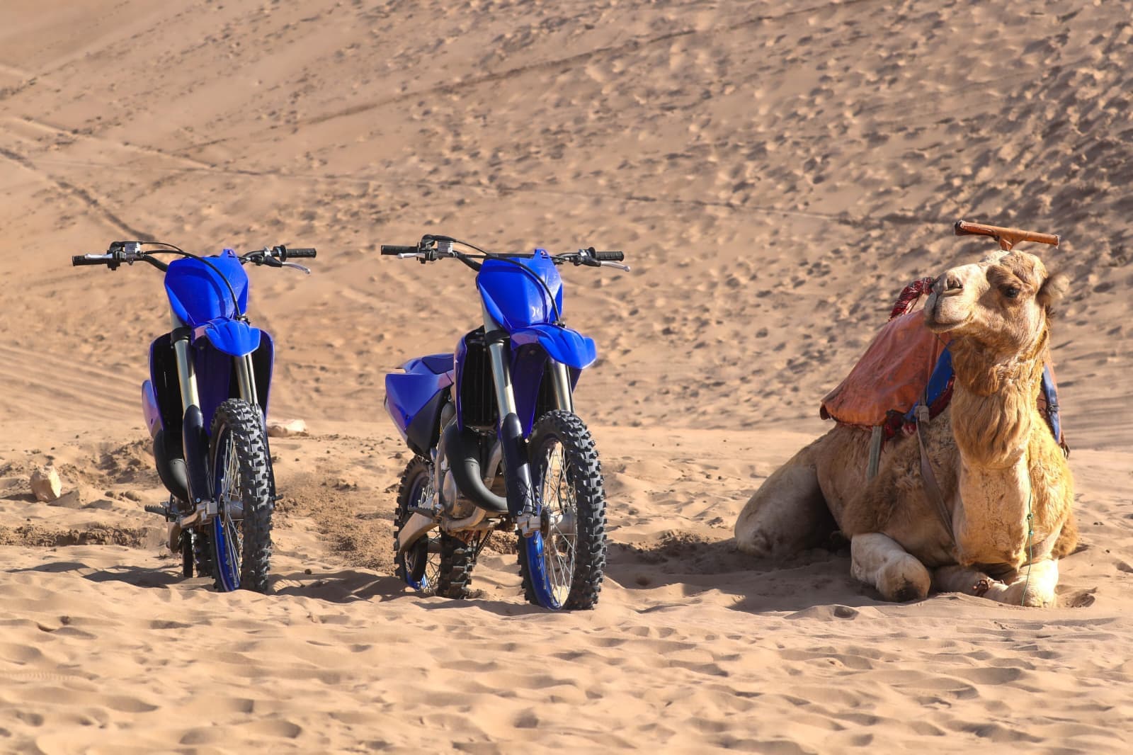 Balade en Moto Cross Yamaha 125 YZ