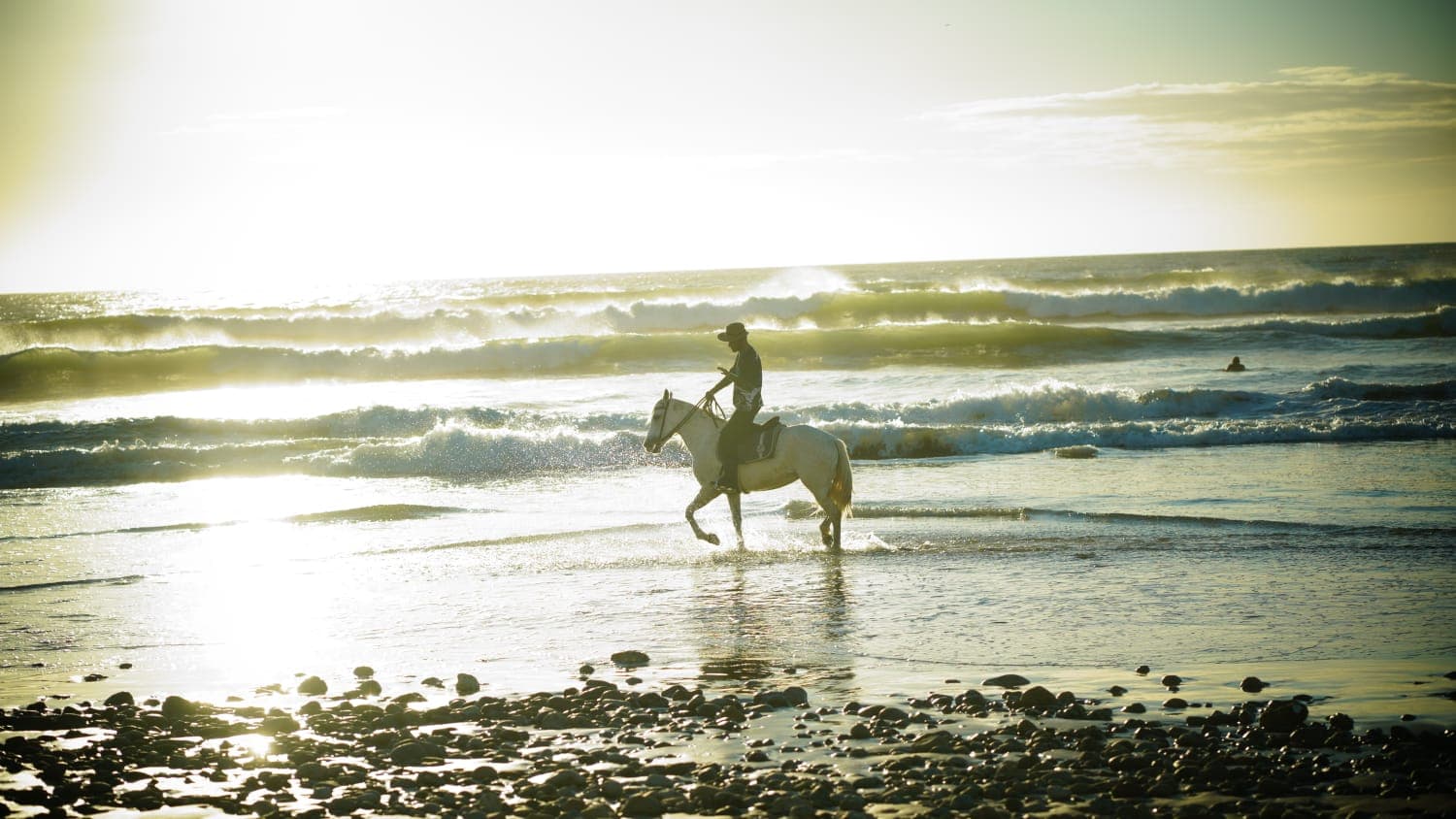Balade en cheval 1/2 journée