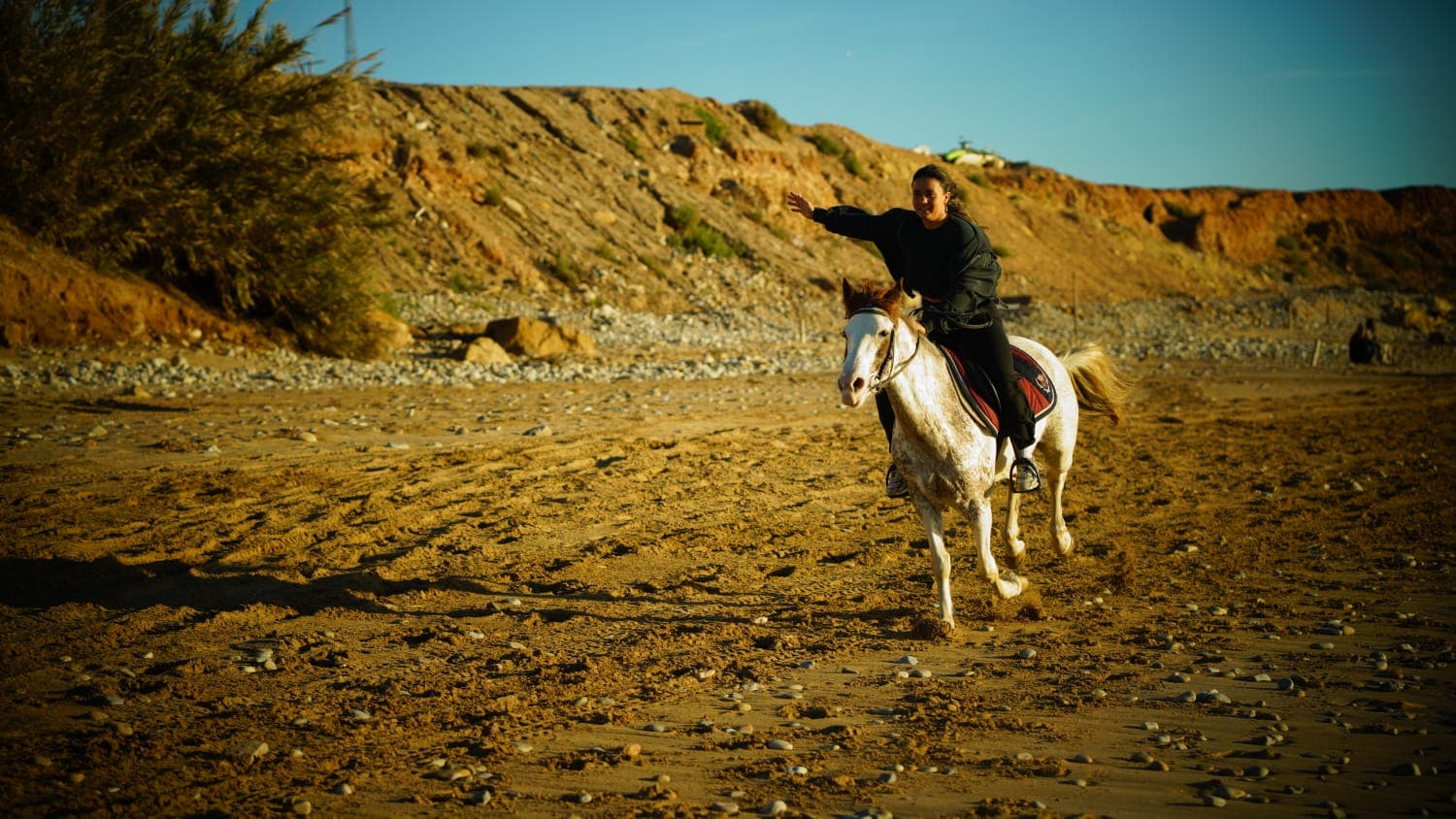Balade en cheval 1 journée
